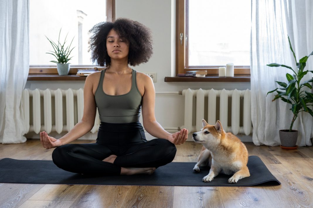 Interrupted Meditation Russell Herbert Jack of Southland Reveals How to Recover Your Mindfulness